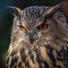 Cross stitch pattern: #2192801