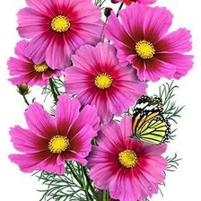 Cross stitch pattern: #2194576