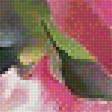 Preview of cross stitch pattern: #2194743