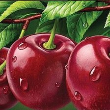 Cross stitch pattern: #2195584