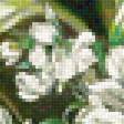 Preview of cross stitch pattern: #2197943