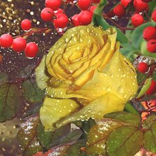 Cross stitch pattern: #2198313