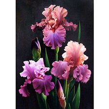 Cross stitch pattern: #2198705