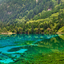 Cross stitch pattern: #2199943