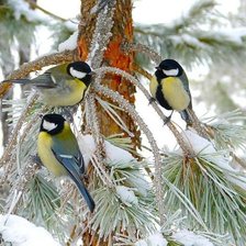 Cross stitch pattern: #2199991