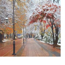 Cross stitch pattern: #2200749