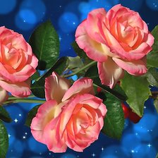 Cross stitch pattern: #2202116