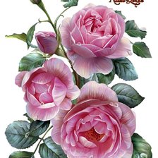 Cross stitch pattern: #2203110