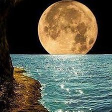 Cross stitch pattern: #2203143