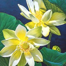 Cross stitch pattern: #2203560