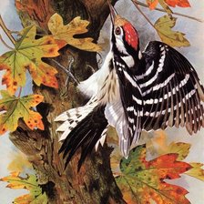 Cross stitch pattern: #2204185