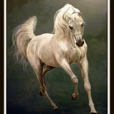 Cross stitch pattern: #2207090