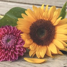 Cross stitch pattern: #2207852