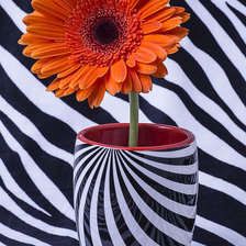 Cross stitch pattern: #2209304