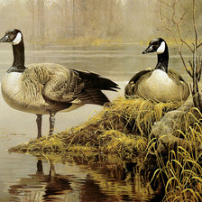 Cross stitch pattern: #2210964