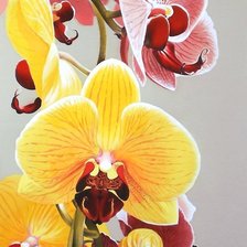 Cross stitch pattern: #2211026