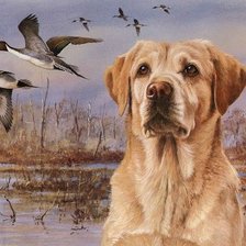 Cross stitch pattern: #2211741