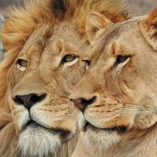 Cross stitch pattern: #2212137