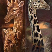 Cross stitch pattern: #2212710