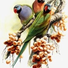 Cross stitch pattern: #2214468