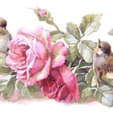 Cross stitch pattern: #2215107