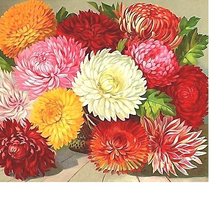 Cross stitch pattern: #2215240