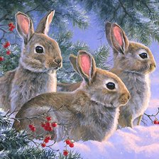 Cross stitch pattern: #2216773