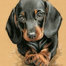 Cross stitch pattern: #2216796