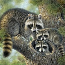 Cross stitch pattern: #2216837