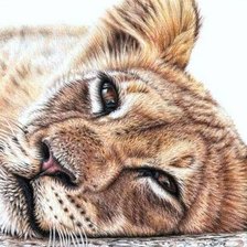 Cross stitch pattern: #2218491