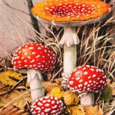 Cross stitch pattern: #2219290