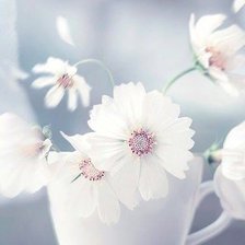 Cross stitch pattern: #2219447