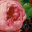 Preview of cross stitch pattern: #2220749