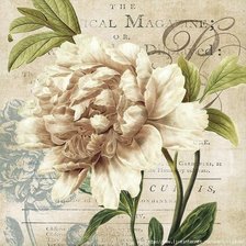 Cross stitch pattern: #2221651