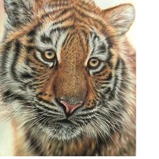 Cross stitch pattern: #2221909