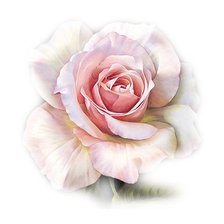 Cross stitch pattern: #2222238