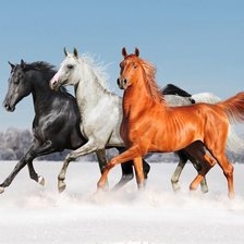 Cross stitch pattern: #2224973