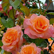 Cross stitch pattern: #2225738