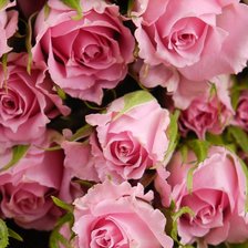 Cross stitch pattern: #2225758