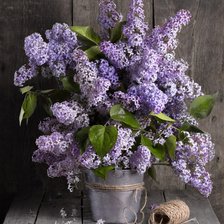 Cross stitch pattern: #2225771