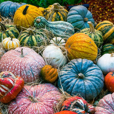 Cross stitch pattern: #2225959