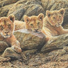 Cross stitch pattern: #2226323