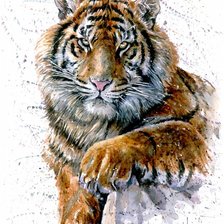 Cross stitch pattern: #2226327