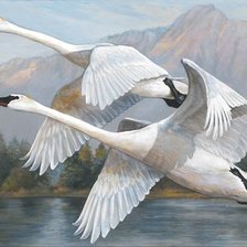 Cross stitch pattern: #2227472