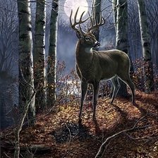 Cross stitch pattern: #2229833