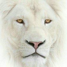 Cross stitch pattern: #2232111