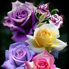 Cross stitch pattern: #2232341