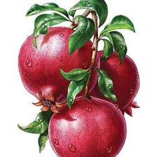 Cross stitch pattern: #2234103