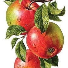 Cross stitch pattern: #2234105