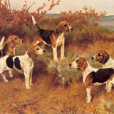 Cross stitch pattern: #2234870